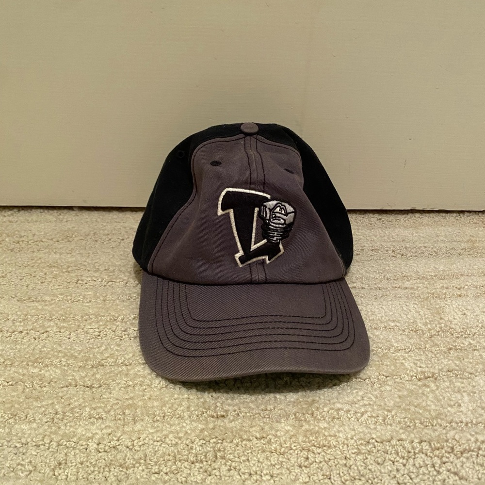 Lansing Lugnuts Hat